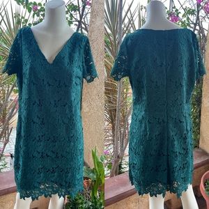 Ann Taylor Factory Forrest Green Petite Lace Dress (Size 12P)